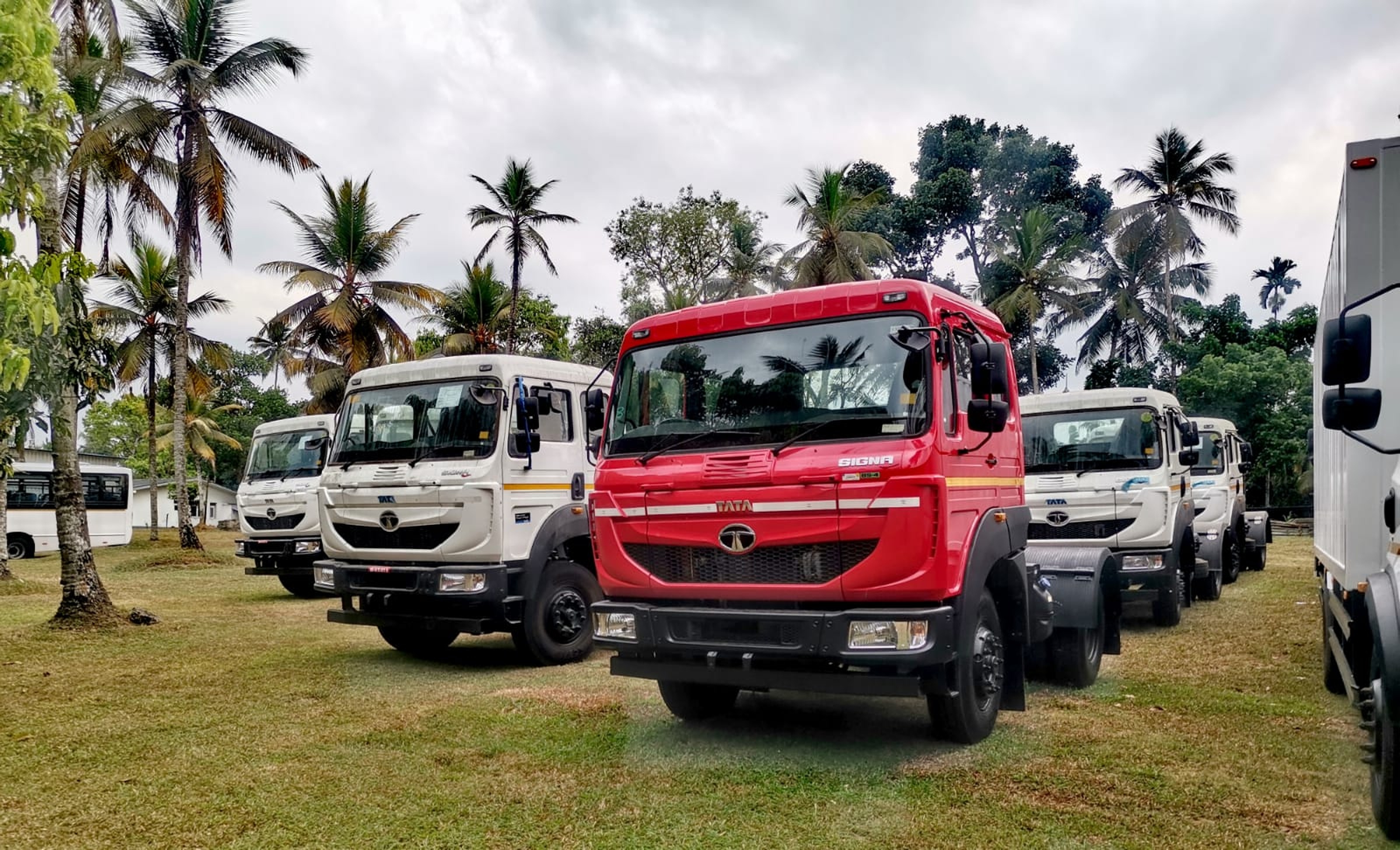 Tata Signa trucks lined up among palm trees before entering service